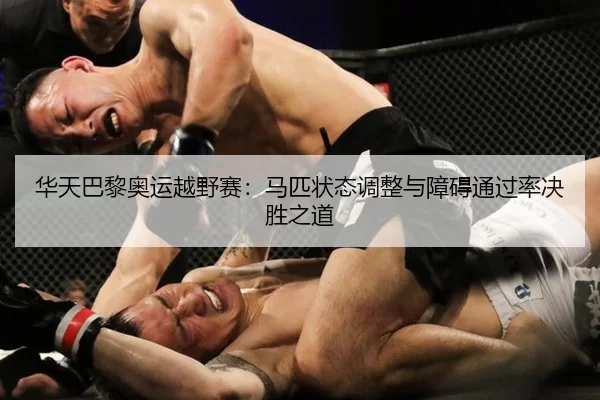 华天巴黎奥运越野赛：马匹状态调整与障碍通过率决胜之道